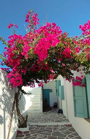 Exterior spaces at Antonis rooms in Sifnos